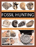 Fossil Hunting An Expert Guide to Finding Classifying Dating & Creating a Fossil Collection Understanding Fossils How They Are