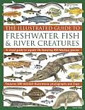 Illustrated Guide to Freshwater Fish & River Creatures