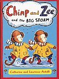 Chimp & Zee & The Big Storm