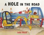Hole in Road