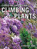 Choosing & Using Climbing Plants