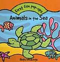 Animals In The Sea Pop Up