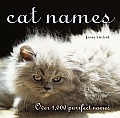 Cat Names Over 1000 Purrfect Names