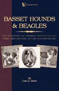 Basset Hounds & Beagles: With Descriptive and Historical Sketches on Each Breed, Their Breeding, and Use as a Sporting Dog