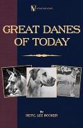 Great Danes of Today
