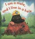 I Am a Mole & I Live in a Hole