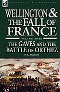 Wellington and the Fall of France Volume III: the Gaves and the Battle of Orthes