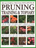 Illustrated Practical Encyclopedia of Pruning Training & Topiary