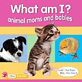 What Am I Animal Moms & Babies
