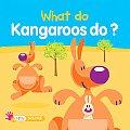 What Do Kangaroos Do