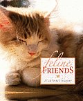 Feline Friends A Cat Lovers Treasury