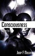 Conciousness: What Is It?