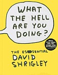 What the Hell Are You Doing The Essential David Shrigley