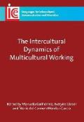 The Intercultural Dynamics of Multicultural Working, 19