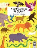 What Do Animals Do All Day