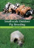 Small Scale Outdoor Pig Breeding