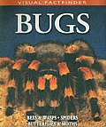 Visual Factfinderbugs