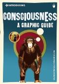 Introducing Consciousness A Graphic Guide