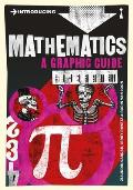 Introducing Mathematics A Graphic Guide 4th Edition