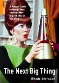 The Next Big Thing: A Rough Guide to Things That Seemed Like a Good Idea at the Time (Rough Guide Reference)