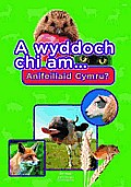A Wyddoch Chi Am Anifeiliaid Cymru?