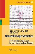 Natural Image Statistics: A Probabilistic Approach to Early Computational Vision