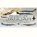 Profiles of Flight Sepecat Jaguar Tactical Support & Maritime Strike Fighter