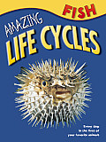 Amazing Life Cycles Fish