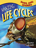Amazing Life Cycles Bugs & Spiders