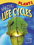 Amazing Life Cycles Plants