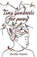 Tiny Sunbirds Far Away
