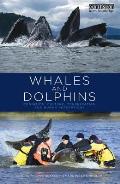 Whales and Dolphins: Cognition, Culture, Conservation and Human Perceptions