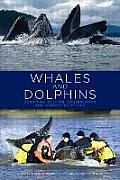 Whales and Dolphins: Cognition, Culture, Conservation and Human Perceptions