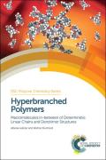 Hyperbranched Polymers: Macromolecules in Between Deterministic Linear Chains and Dendrimer Structures