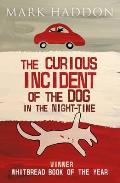 Curious Incident of the Dog in the Night Time UK