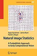 Natural Image Statistics: A Probabilistic Approach to Early Computational Vision.