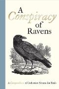 Conspiracy of Ravens A Compendium of Collective Nouns for Birds