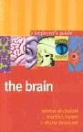 Brain A Beginners Guide