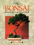 Bonsai Step By Step To Growing Success