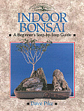 Indoor Bonsai A Beginners Step By Step Guide