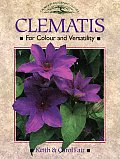 Clematis for Colour & Versatility