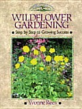 Wildflower Gardening Step By Step