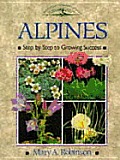 Alpines Step By Step To Growing Success