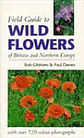 Field Guide to Wild flowers
