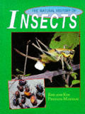 Natural History Of Insects