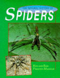 Natural History Of Spiders