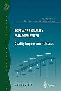 Software Quality Management VI: Quality Improvement Issues