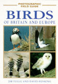 Photographic Field Guide Birds Of Britain & Europ