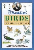 Birds of Britain & Ireland