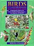 Birds Of South East Asia